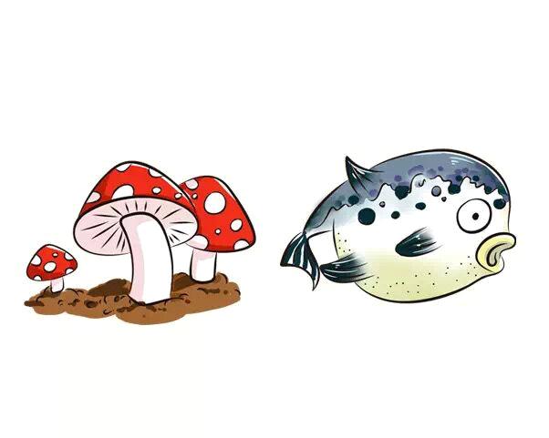                     原创            宝宝食物中毒的急救措施