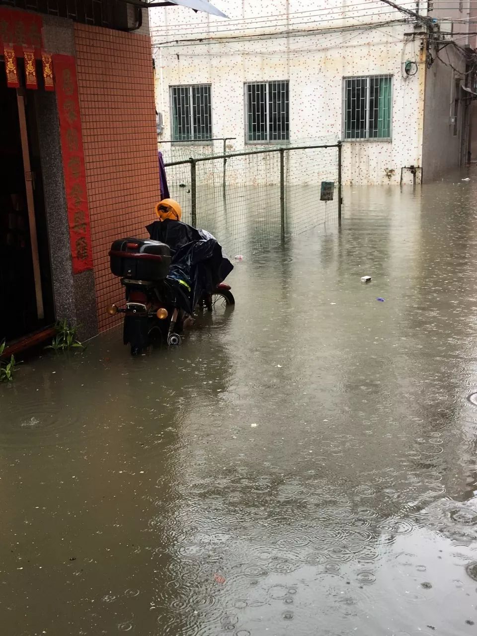 数十位网友发来水浸图片! 这次的暴雨很多镇街水浸严重!