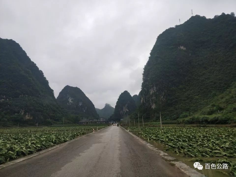 靖西市有多少人口_靖西市