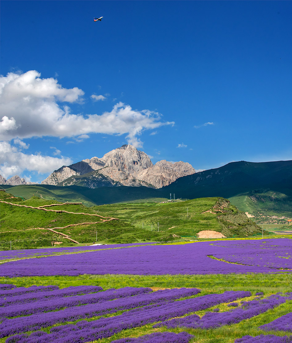 长征丰碑61雪山草地我的长征路红色旅游线路产品在蓉发布