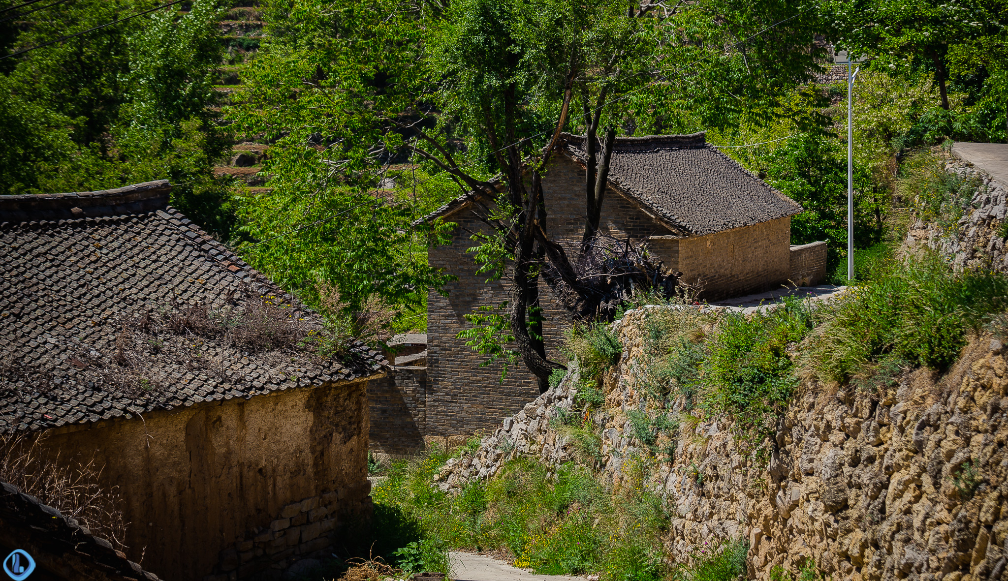 乡愁：济南一个贫穷的山村，却守候着一山的美景_青石板