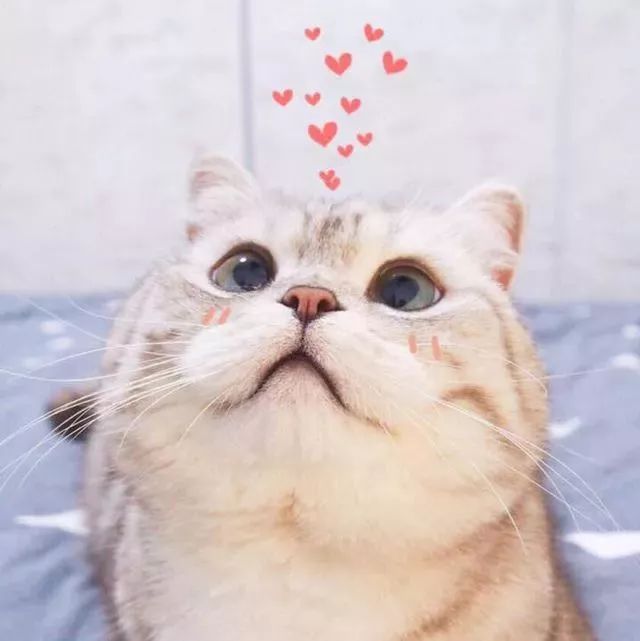 4daacd6038b24822a60afdd4cd3801b2.jpeg