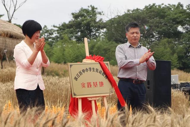 风吹麦浪有我农耕的身影滨江区中小学生有了劳动实践教育基地