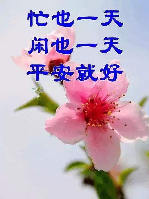 爱生活爱旅行爱美食 5e007bd914e546e897dbd87a3fb0f1b4.jpeg