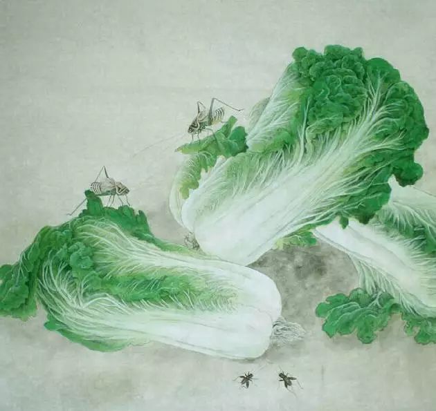 谁画的白菜太棒了