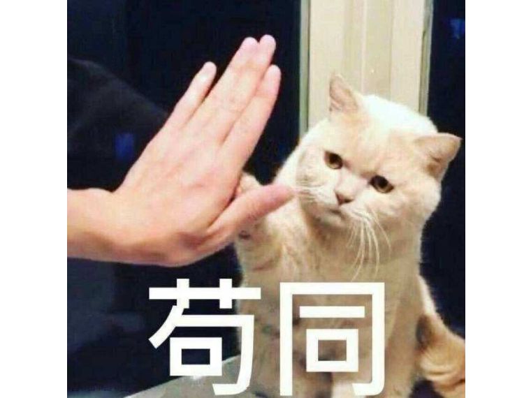 6958c6eee4854065aa3e7b8d013eed32.jpeg