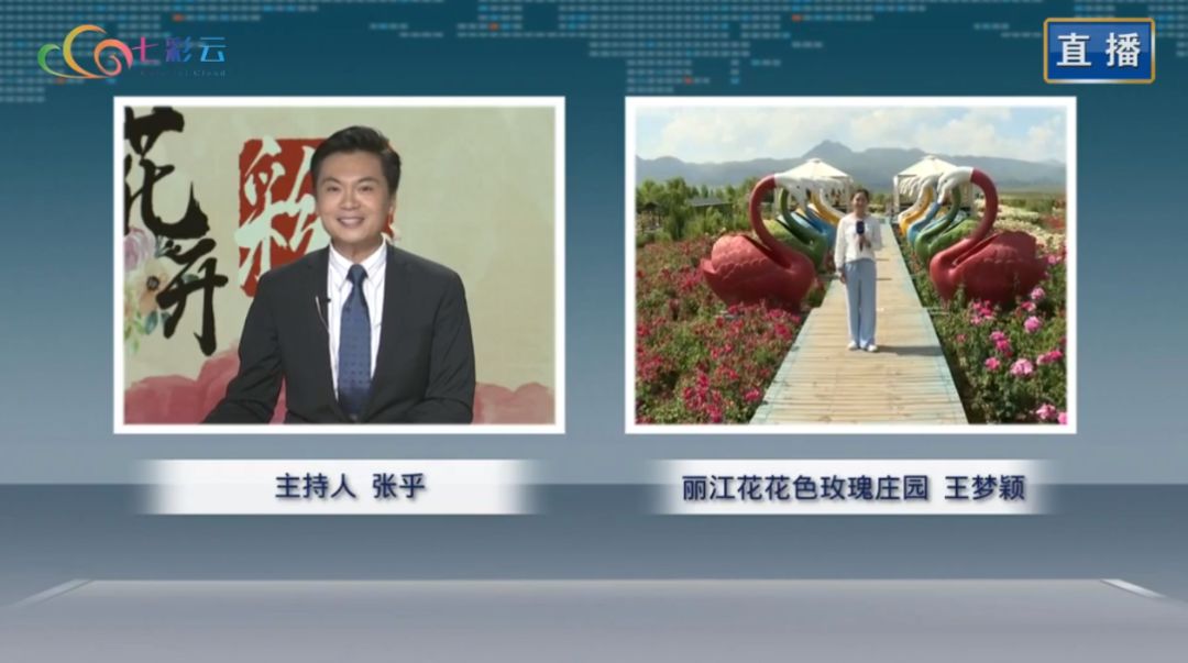 五月花开彩云南丨玫瑰玫瑰我爱你