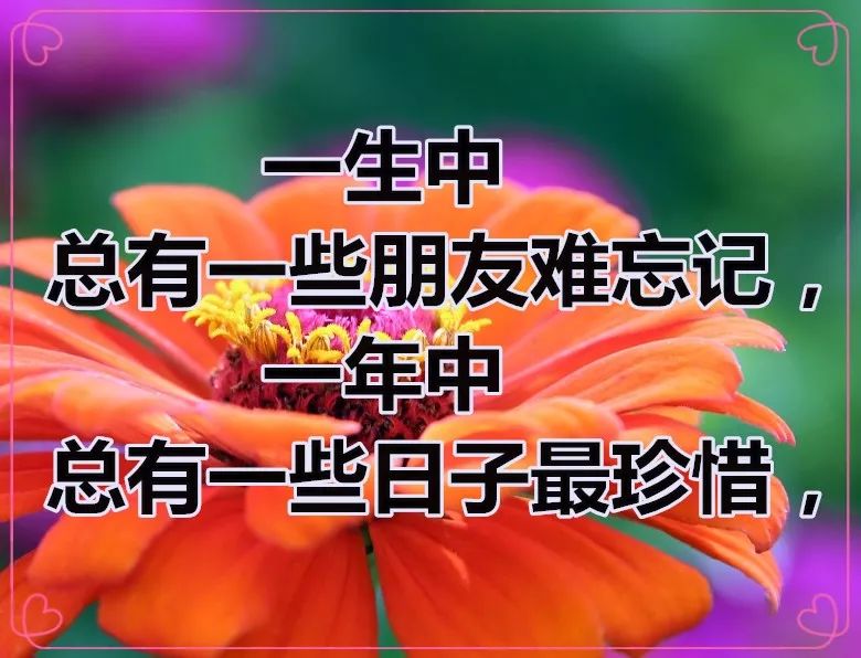 7249359389634c1781e9ae01f4b805ec.jpeg