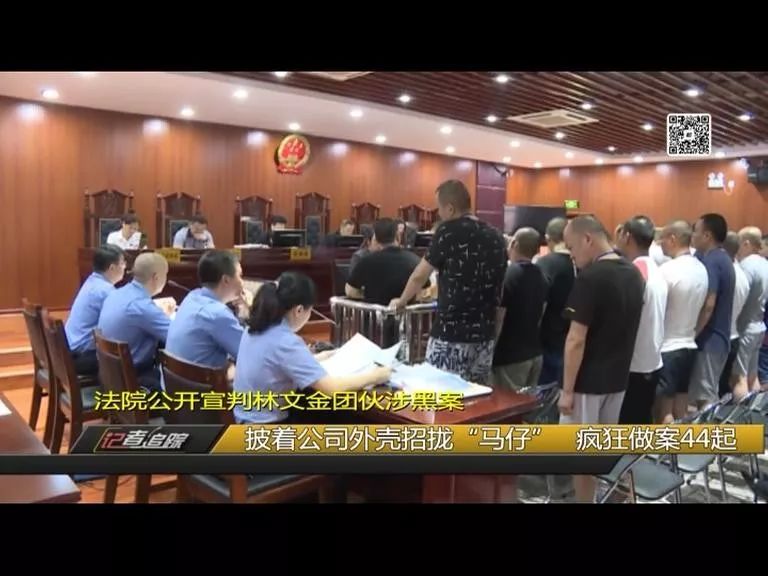 林文金团伙涉黑案一审宣判!