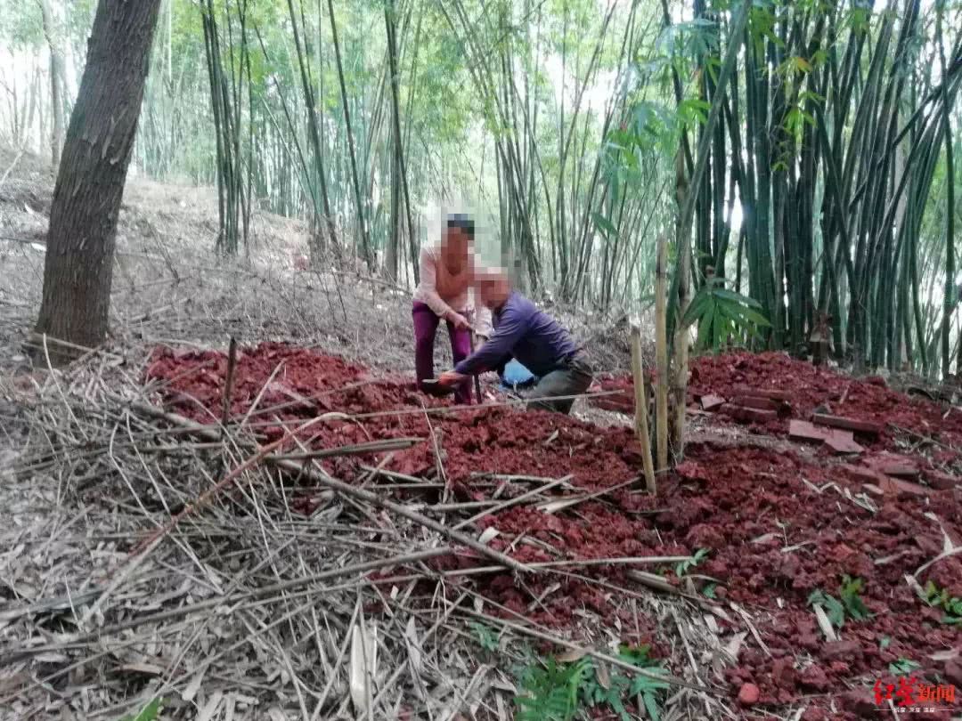 眉山姓氏人口_眉山水街图片