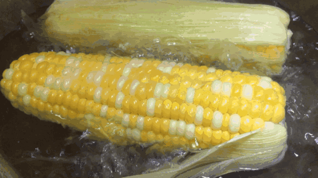 7c3b19d970b44e1588564079d99c88e4.gif