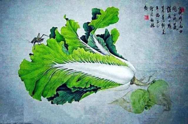 谁画的白菜太棒了
