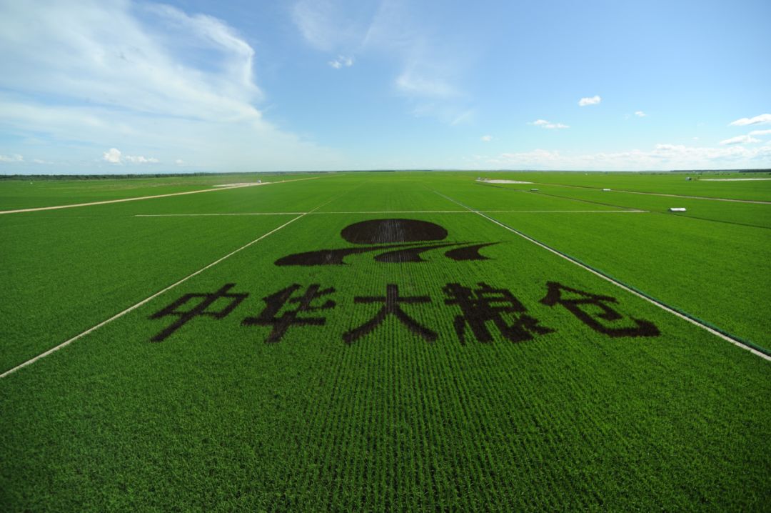 佳木斯建三江万亩大地号