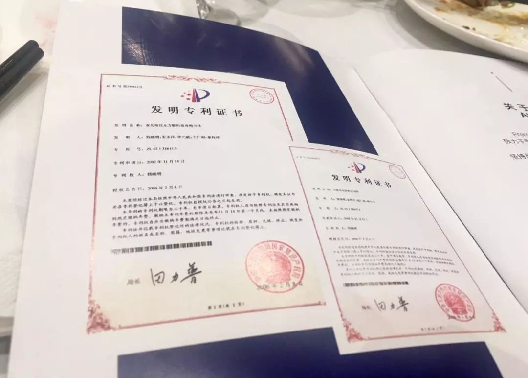 100个墨尔本牛人们已提前尝过鲜!爽口鲜嫩的无毒河豚正式进军澳洲!