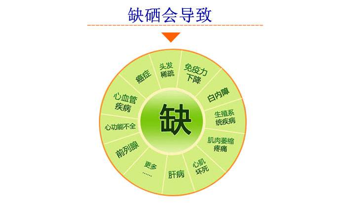 9548f9b82ebb41ad8091fabcf1271008.png