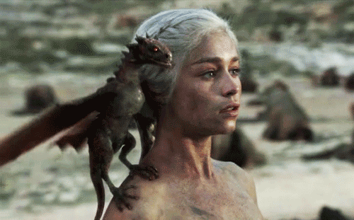 9bc07421ebd946dc9267e9813e578860.gif