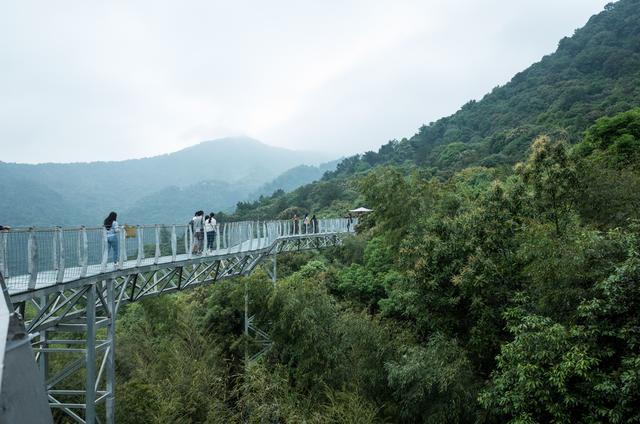 原創
            大餘丫山，江西首個5A級鄉村旅遊點，風景秀麗猶如世外桃源一般 旅遊 第11張