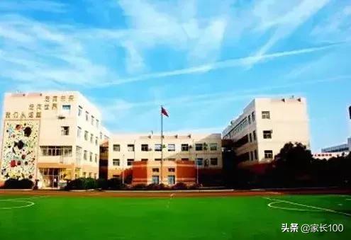 大起底！武汉33所重点小学优势对比，各区口碑最好的小学学校竟是...(图40)