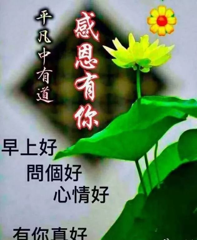 早上好图片祝福语 早晨好问候语表情包