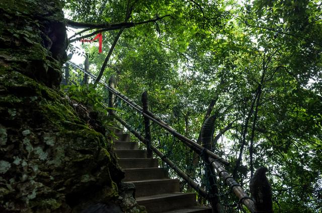 原創
            大餘丫山，江西首個5A級鄉村旅遊點，風景秀麗猶如世外桃源一般 旅遊 第13張