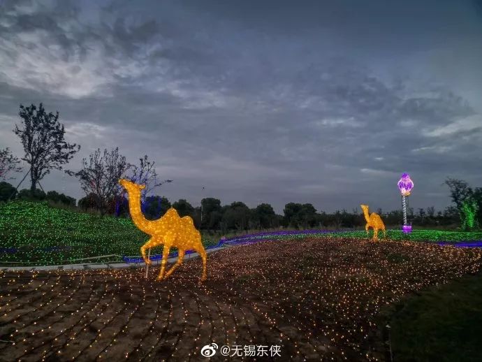 洋睡莲悄悄绽放,给小朋友别样惊喜九龙湾花彩小镇花星球洋睡莲实拍洋