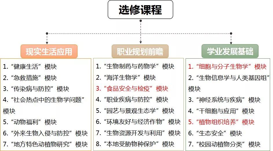 什么是内容什么是结构 b7471168731f4eb79dd8af294ef187e6.jpeg