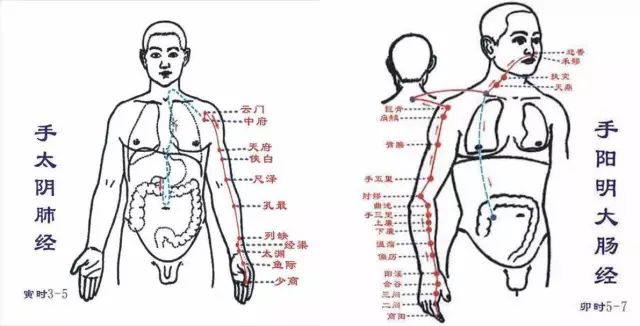 有个简单的口诀:手之三阴,从脏走手,手之三阳,从手走头;足之三阳