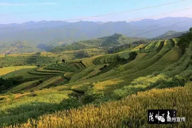 陇县人口数量_陇县社火图片(3)