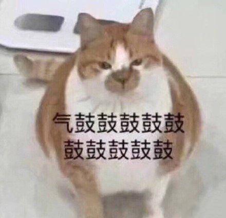 生气表情包:我在生气耶