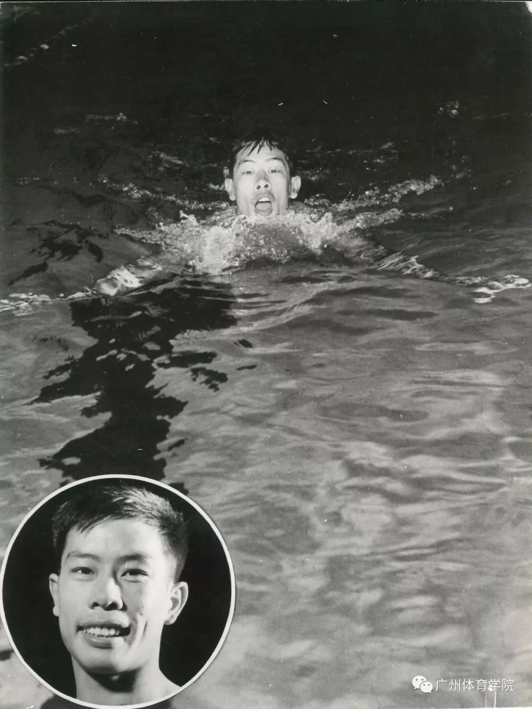 20岁的我,选择用游泳报效祖国!一代蛙王戚