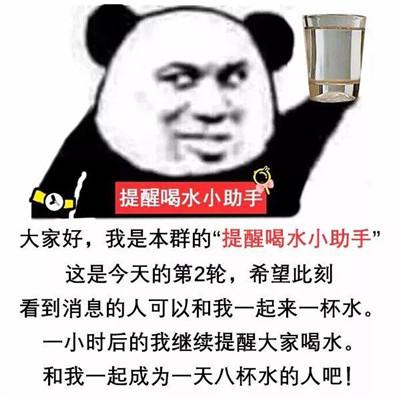 熊猫头提醒喝水小助手表情包