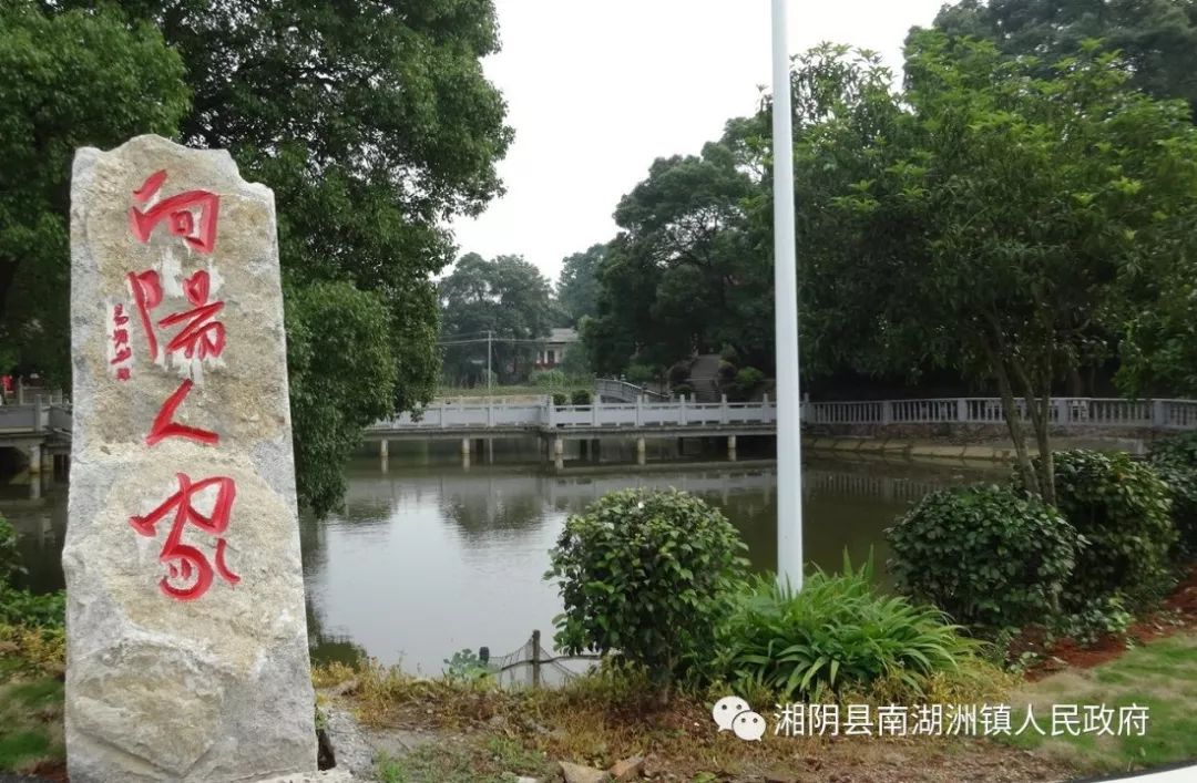 南湖洲镇|现场观摩学先进,讲评交流促提升