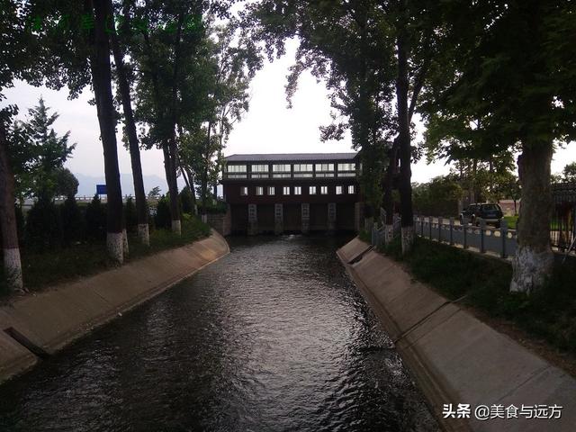 沣河岸边仪祉湖初夏一份别样的风景