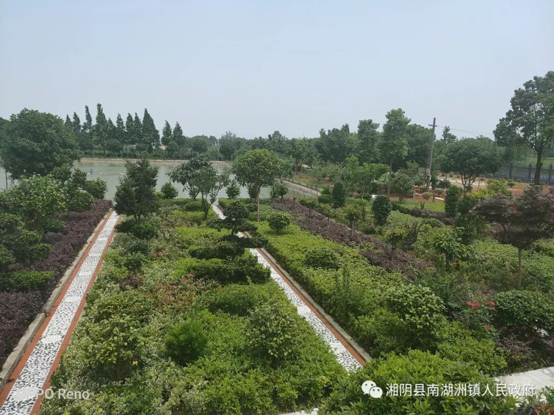 南湖洲镇现场观摩学先进讲评交流促提升