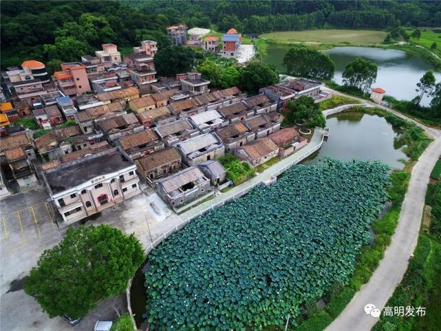 奖金高达300万元!高明这个比赛吸引过百条村报名
