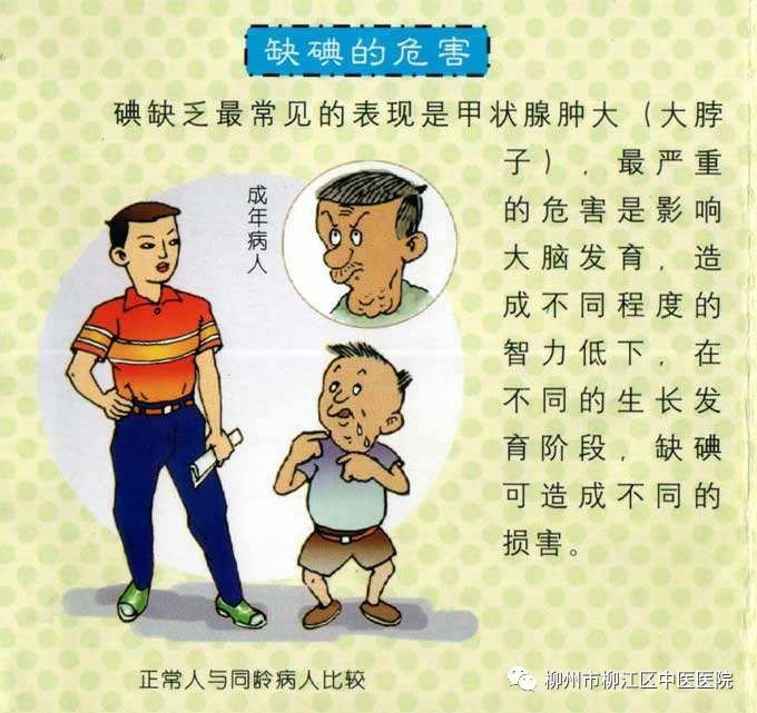 碘缺乏病防治知识