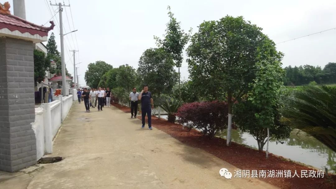 南湖洲镇现场观摩学先进讲评交流促提升