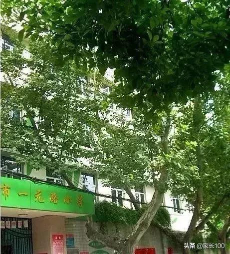 大起底！武漢33所重點小學排名優(yōu)勢對比，各區(qū)口碑最好的竟是...(圖15)