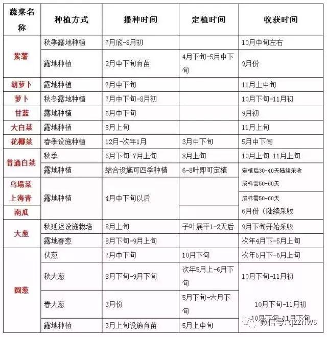 大棚蔬菜高效种植时间表从此种菜不求人