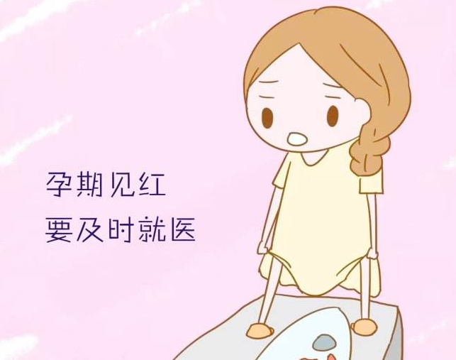 f0f1f745077a418a849eeb4eb9d872d5.png