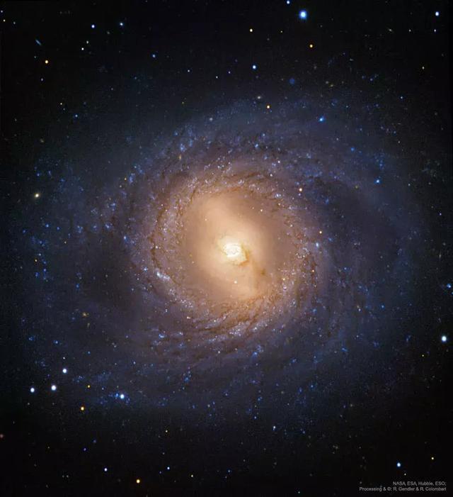 m95:带内环的旋涡星系