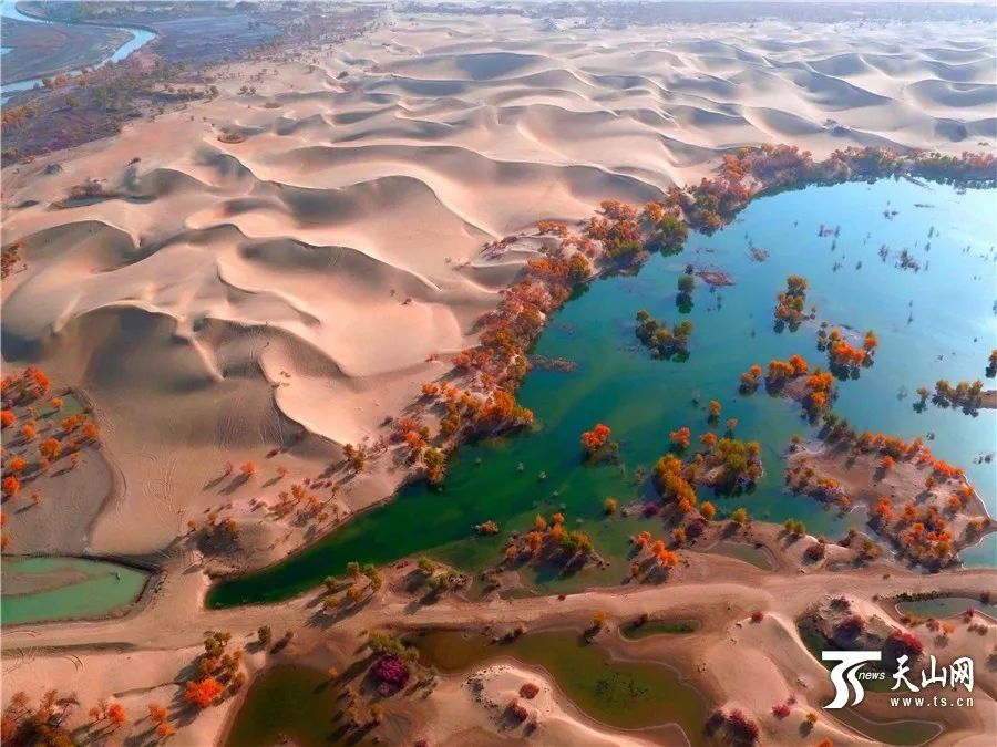 现在可以去新疆库尔勒了吗 ffb0b75a29084051be3e5d74381cb2d3.jpeg