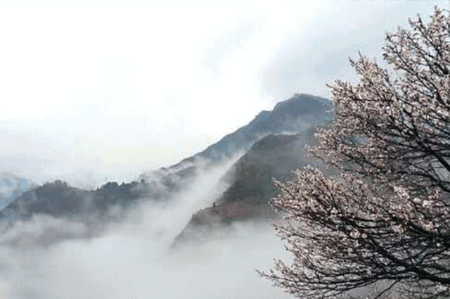 端午假期·袁家村·翠华山·金锁关·汽车三日游·6月
