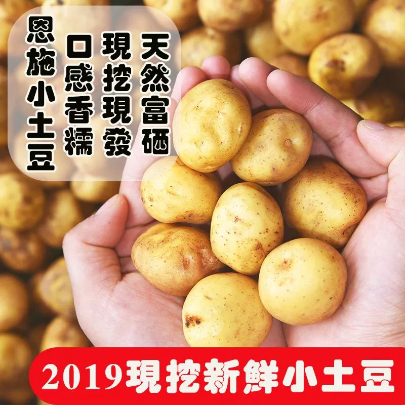 恩施的小土豆,保留大山里纯粹自然的,300多年没变过的,原始土豆味道