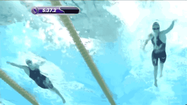 1215f6838929470c88049c16ac158236.gif