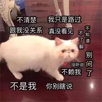 不是我,跟我没关系