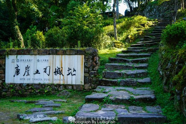 恩施田氏人口_恩施茶田除草