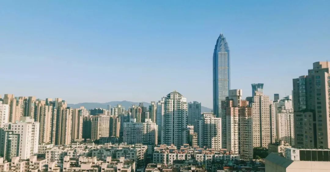 温州2019经济总量_温州地摊经济图片(2)