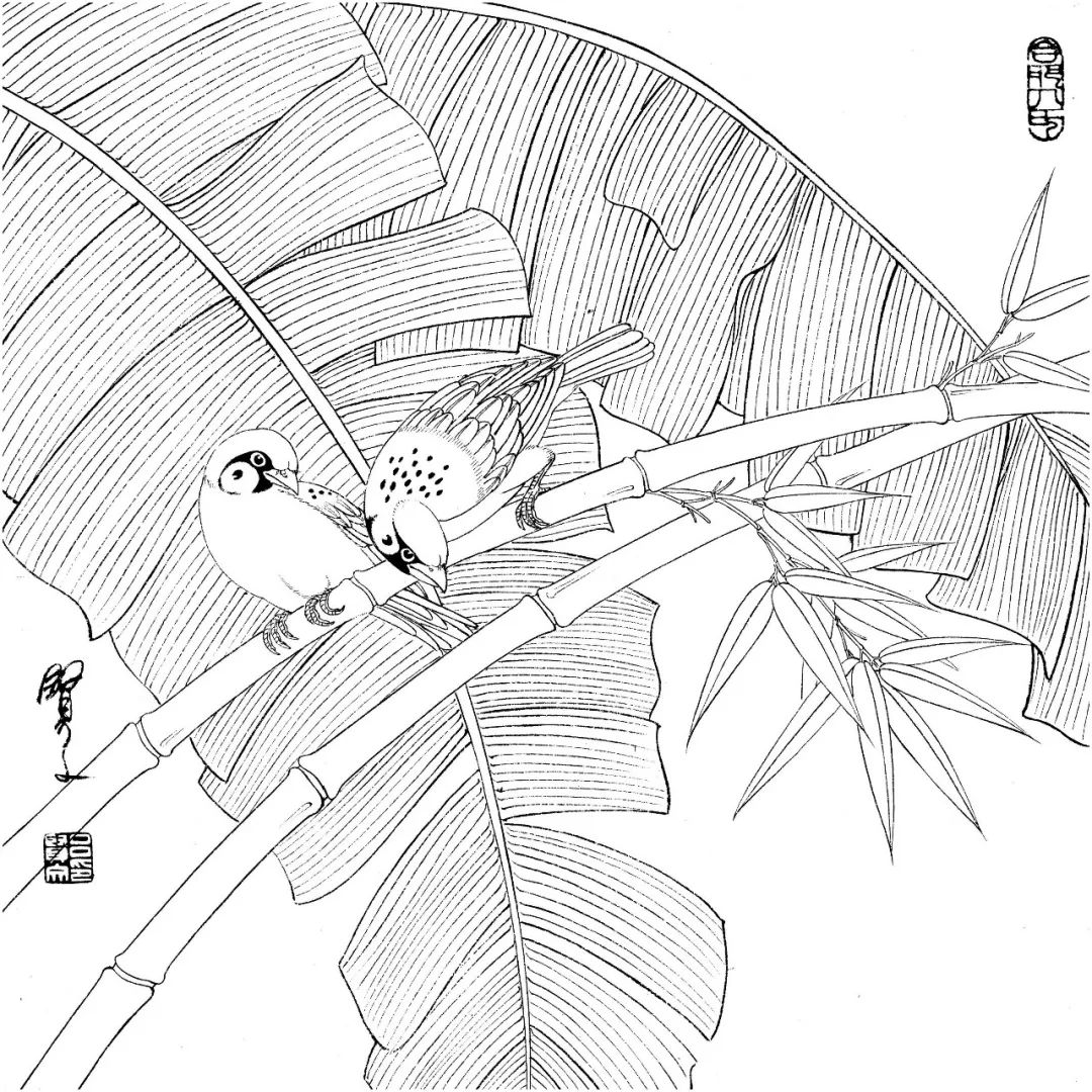 卡通手绘-创意手绘鸟类托哥巨嘴鸟-好图网