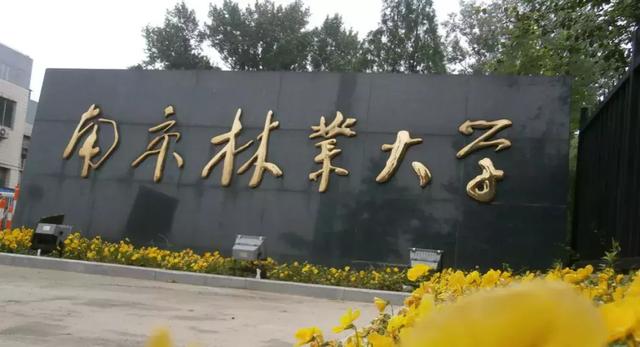 南京林业大学排名_南京林业大学